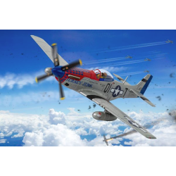 P-51D Mustang 'Jersey Jerk'...