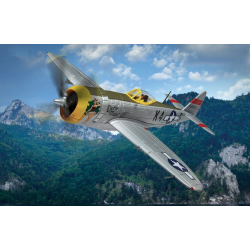 P-47D Thunderbolt® ‘Dottie...