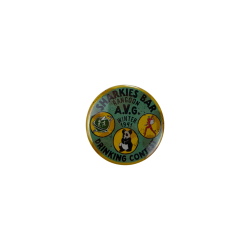 Badges AVG 1941
